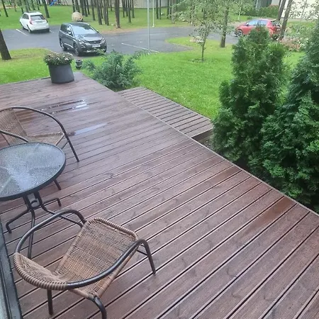 Nb! For Female Quest Only! 1 20 M2 From 45 M2 Shared With Sunny Terrace For Rent * Talin