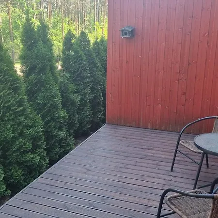 Habitación en casa particular Nb! For Female Quest Only! 1 20 M2 From 45 M2 Shared With Sunny Terrace For Rent Tallin